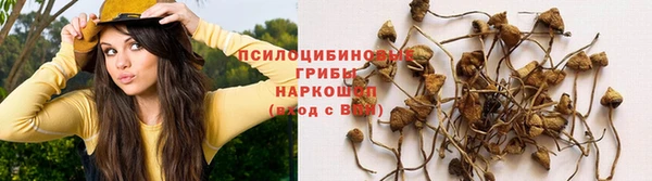 мяу мяу кристалл Магадан