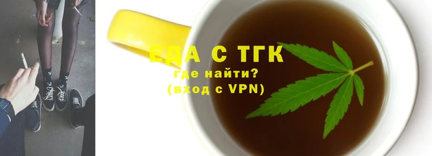 стаф Магас