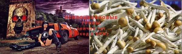 марихуана Майский