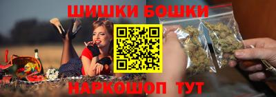 индика Беслан