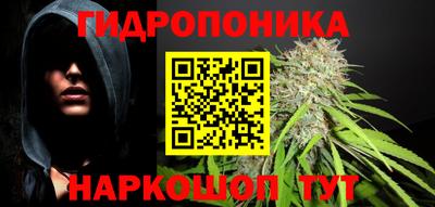 индика Беслан