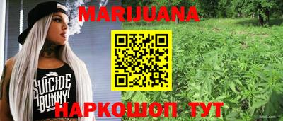 прущие грибы Волжск