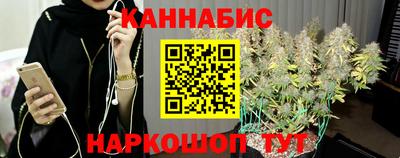 индика Беслан