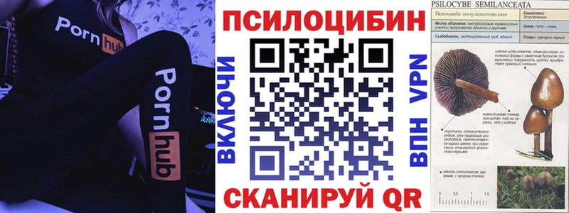 где найти наркотики  Десногорск  Псилоцибиновые грибы ЛСД 