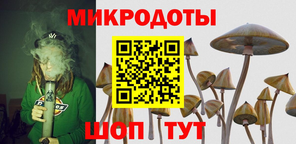 Псилоцибиновые грибы Psilocybe Десногорск